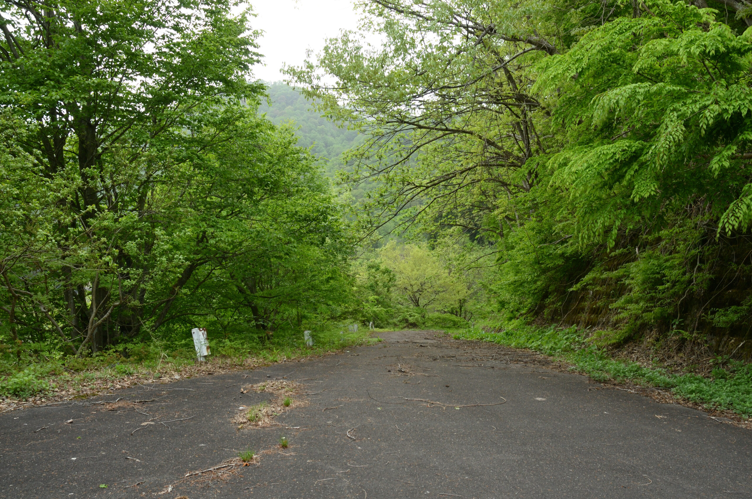 eriha 「8号線」 室谷津川線 旧道 第8部