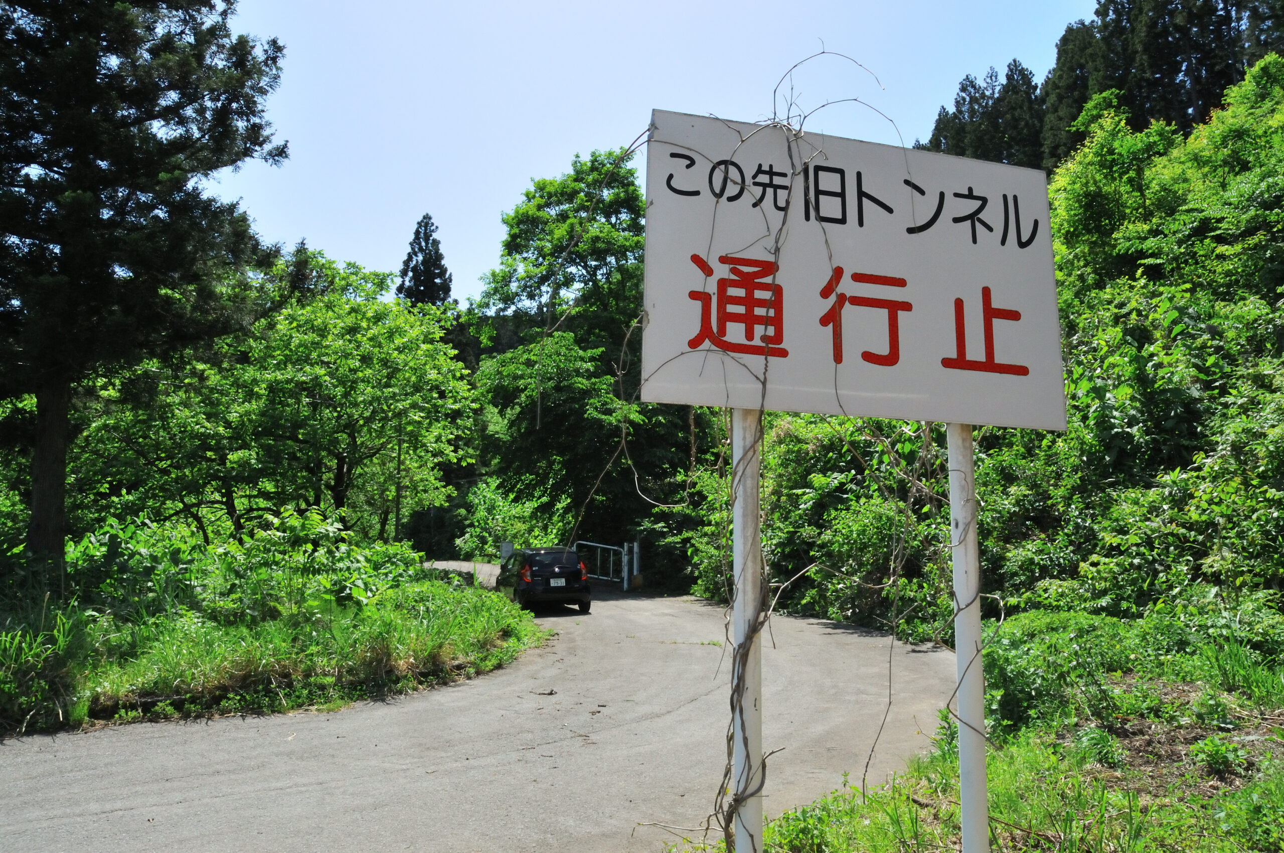 D300_20240518_211-scaled.jpg