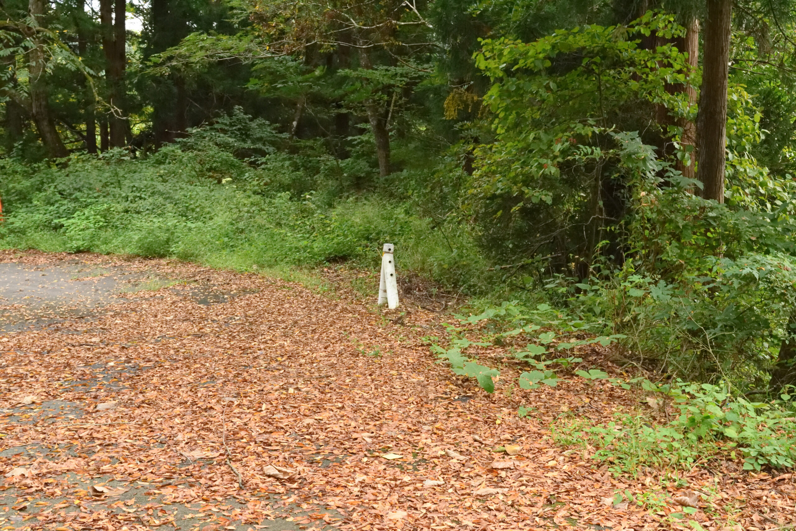 【中古】 道路の上に緑地ができた 山中上野線 第16部「取り残されたエンドポスト」