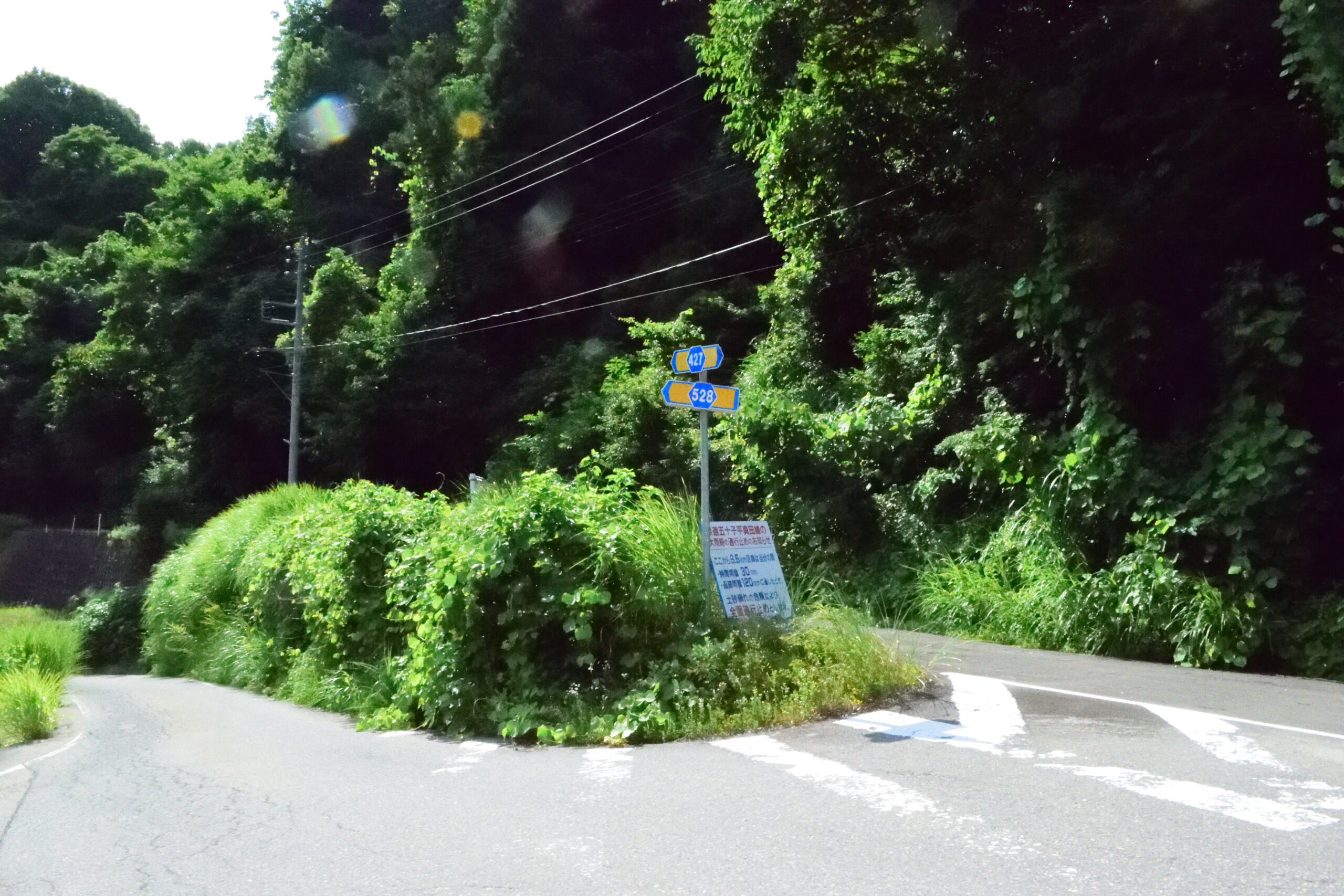 新潟県一般県道427号 五十子平真田線